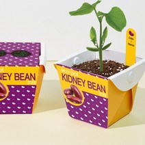 친환경 종이화분 에코팟-강낭콩/식물키트 화분 캐릭터패키지