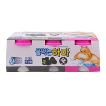 옷장제습제 습기제거제 물먹는 하마 숯 3개입 이불장 신발장 옷장 :daydm, 본상품선택