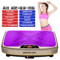 홈 트레이닝 쉐이크 보드 진동 덜덜이 전신 운동 기구 슬리밍 흔들리는 지방 연소 슬림 바디 피트니스 기구, 단일사이즈, E