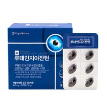 눈이침침할때 루테인지아잔틴 효능 빌베리 눈시림 황반변성 비문증 에좋은 영양제