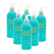 핸드인핸드 핸드워시 손세정제 핸드솝 액체비누 10oz 씨솔트 300ml HAND IN HAND Hand Soap Sea Salt, 6개