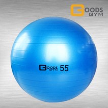 구스짐 프리미엄 짐볼 55CM 파랑 안티버스트 다이어트 필라테스용품