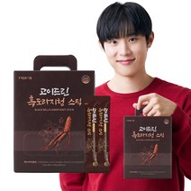 정원삼 고이드린 흑도라지청 스틱, 10g, 100개