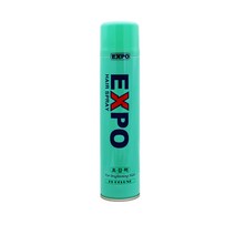 엑스포 엑스포스프레이 (초강력) 300ml, 단품