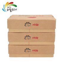 하늘뜨레 제천 하늘뜨레 농협 세척사과 9kg, 단일옵션