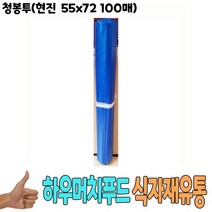 청봉투 현진 55x72 100매 - 식자재 용품 비품, 1개