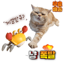 고양이 움직이는 게 장난감 큐티 워킹 크랩 강아지 지능형 자동, 옐로