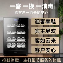 신발건조기 안전화 살균식 장화 슈스타일러, A