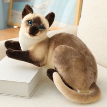 고양이 실사 인형 진짜같은 리얼리티 동물 피규어 장식인형 장식품 인테리어 소품 / 3종, 시암고양이 B