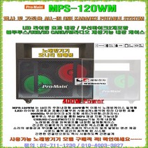 노래방전용 케이스 MPS-120WM(400W출력)/12형 우퍼내장/무선마이크2개포함/블루투스-FM라디오 재생/LED라이팅 조명기능/신제품/가라오케일체형케이스/앰프내장형/팬션-회관용, MPS-120WM(12inch/400W출력)