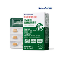 네이처그랜드 프리미엄 징코앤메모리 500mg, 1박스, 30정