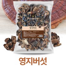 자연선물 국내산 영지버섯(절단) 500g 불로초과 풍부한 무기질 말린 영지버섯 100% 자연주의 안전한 먹거리, 1개