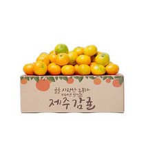 제주 감귤 맛좋은 제철과일, 1box, 9kg 프리미엄과