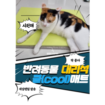 (JW)반려동물 대리석 쿨매트