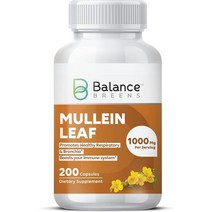 밸런스브린스 66000mg 200정 ( 기관지약 아님) 폐 기침 기관지 가래 영양제, 상품선택