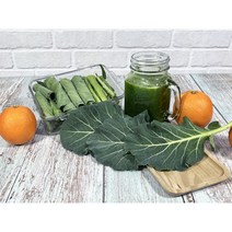유기농 친환경 케일 쌈용/즙용 1kg/2kg/3kg/4kg, 케일 3kg(쌈용)