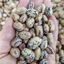 22년산 호랑이강낭콩/국산강낭콩/호랑이강낭콩/마른햇강낭콩, 1개, 1kg