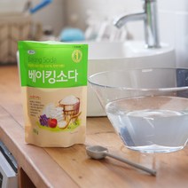 생활홀릭 베이킹소다 800g 천연 설거지 주방세제, 10개