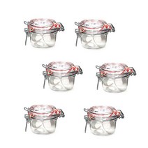 보르미올리 피도병 200ml(투명뚜껑), 6개, 200ml