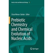 Prebiotic Chemistry and Chemical Evolution of Nucleic Acids Paperback, Springer