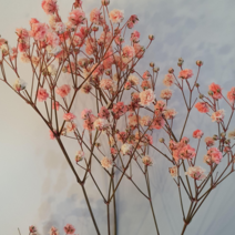 밍블랑 셀프인테리어 디퓨저재료 모음 DIY 디퓨저 공병 섬유스틱 리필오일 디퓨저스틱, 1개, 안개꽃 파스텔핑크