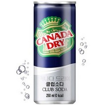코카콜라 캐나다 드라이 클럽소다, 250ml, 30개