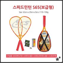 스피드민턴 S-65 세트 보급형 세계에서 빠른 라켓스포츠 독일정품