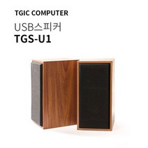 TGIC PC스피커 TGS-U1 우드타입 깔끔디자인 우퍼, 없음, 본상품선택