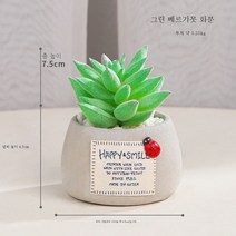 Stevevivian 즙이 많은 식물의 북유럽 미니 시뮬레이션 화분에 거실 사무실 데스크톱 녹색 식물 장식 미세 랜드 스케이프 장식 분재, 그린 베르가 모티아