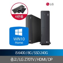 LG중고데스크탑 i5 6세대 8G SSD240G WIN10홈 HDMI DP, 단품, 단품