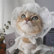 애완 동물 레이스 양산 모자 고양이 개 옷 후드 귀여운 강아지 선스크린 조명 액세서리, 01 hat_03 L