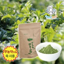 엔젤쿡 자연담은 거문도 해풍쑥 분말차 친환경 쑥사용, 단일옵션
