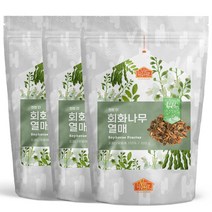 닥터비옴 100% 회화 열매차 300g x 3개