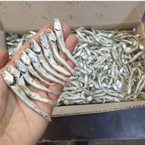 웰빙건어물 대고주바 고추장멸치 중멸치 1.5kg 한박스 다시용, 1box