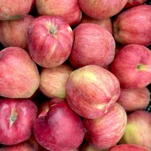 홍로 사과 늘품 경북 가정용 못난이 추석 흠집 꿀사과 3kg 5kg 10kg (옵션별 실중량 3kg 4.5kg 9kg), 3kg(실중량3kg이상), 가정용 홍로 꼬마 (21-25과), 1개