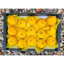 제주 감귤 황금향 제철 하우스 가정용 선물세트, 가정용 3kg(7-20과), 1개, 하우스 황금향