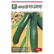뱀 딸기 씨앗 1000립 - 뱀딸기 딸기키우기 야채씨앗 채소씨앗 채소재배 종묘 종자 베란다 텃밭 씨 씨앗 오이 호박 방울토마토 수박 참, 11_다농_새로운쥬키니 호박(30립)