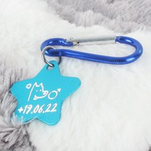 왈가독 강아지 고양이 무료각인 키링 인식표 이름표 등산고리형 (별형), C05.별형-스카이블루