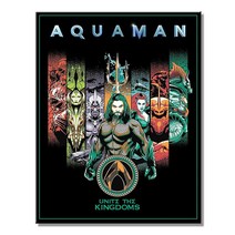 Desperate Enterprises 원더 우먼 - 커버 No.1 주석 사인 향수를 불러일으키는 빈티지 금속 벽 장식 미국산, DC Aquaman United