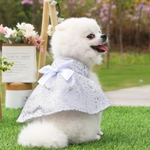 강아지 드레스 원피스 봄과 여름 애완 동물 귀여운 스커트 고양이 공주 한복 의류 사랑스러운 개, [07] A8
