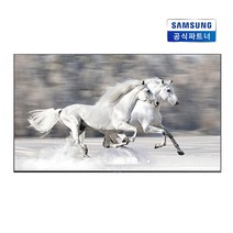 삼성전자 189cm LH75QBBEBGCXKR 4K UHD 스마트 사이니지 TV 모니터, 본품만(스탠드없음)