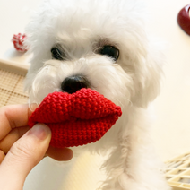 [온리스티치] 애견 입술 쪽쪽이 강아지 치석제거 스트레스제거 장난감, 빨강, S