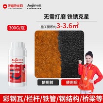 녹제거 프라이머 녹 환원제 금속 철 볼트 자동차 제거제 방청 전환제 수성프라이머, 300g (일반배송), 1kg부터 브러쉬제공