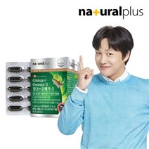 내츄럴플러스 차태현 징코 오메가3 1박스/2개월 은행잎추출물 혈행 기억력개선, 기타