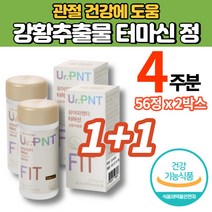 터마신 수용성 인도산 강황추출물 선인장열매 농축분말 해조칼슘 40대 50대 60대 70대 남성 여성 노인 관절 연골 영양제, 1+1박스