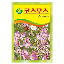 봉선화 50립 - 봉숭아 씨앗 봉선화씨 꽃씨 꽃씨앗 씨앗 씨 야생화씨앗 봉숭아씨, 19_청농_코스모스(50립)