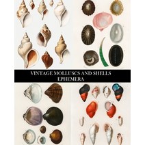 (영문도서) Vintage Molluscs and Shell Ephemera: Conchology Decorative Paper for Collages Decoupage and ... Paperback, Blurb