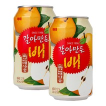 해태에이치티비 갈아만든 배 주스, 340ml, 12개