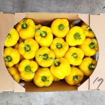 야채24닷컴 못난이 노랑 파프리카 2kg, 1개