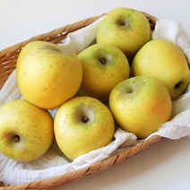 산지직송 사과 경북 시나노골드 스위트 황금사과, 1개, 골드 가정용-한입 5kg(29-31)